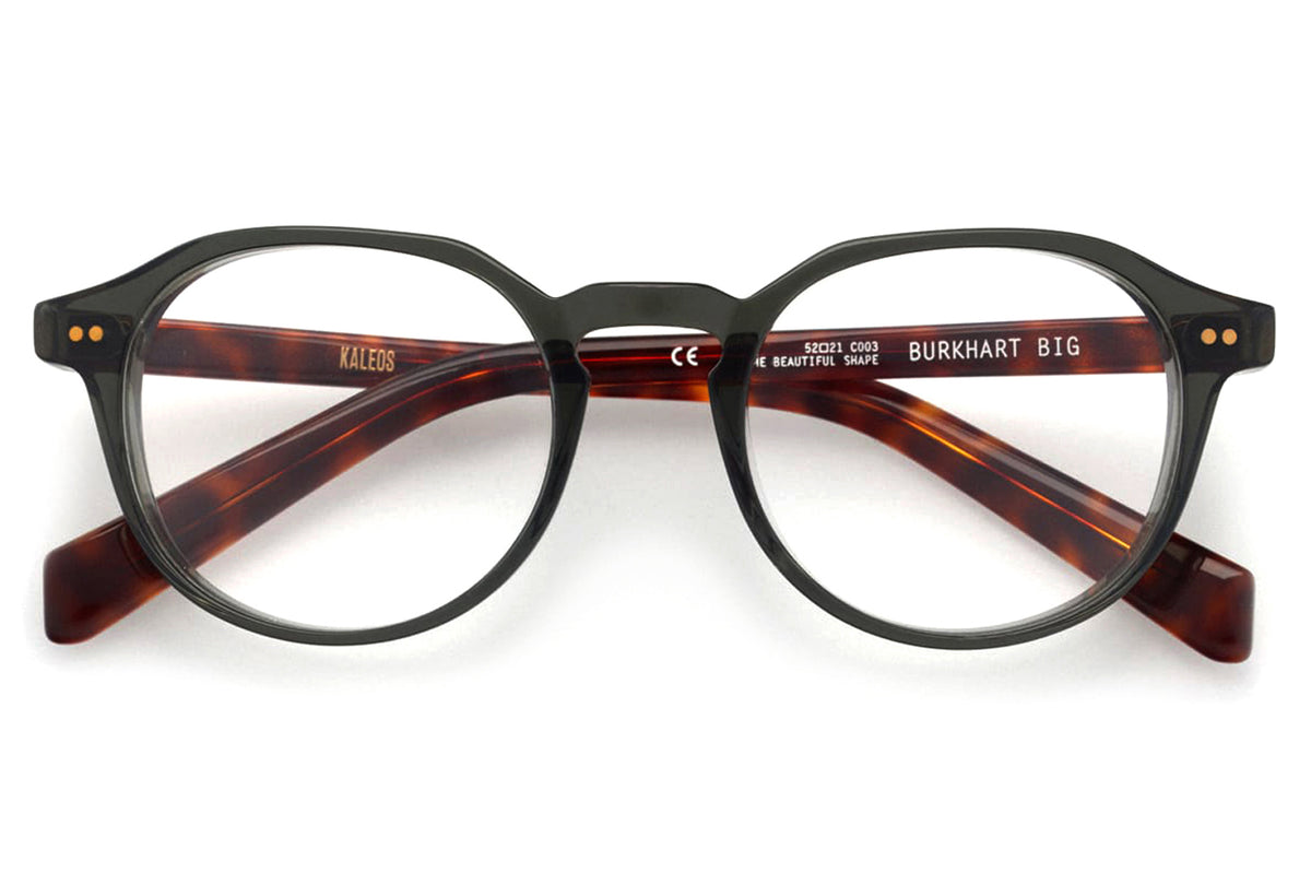 Big round best sale tortoise shell glasses