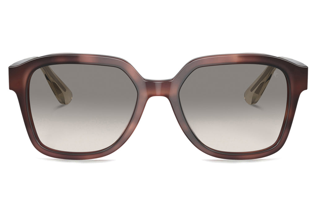 Brunello Cucinelli® BC4005S Sunglasses - Luxury Eyewear Havana with Fumo Lenses