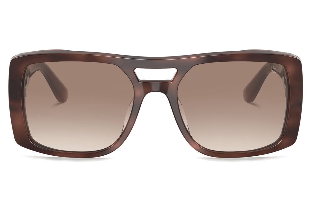 Brunello Cucinelli® BC4012S Sunglasses - Luxury Eyewear Havana Hydrangea