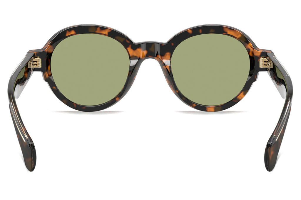 Moncler Lunettes® - Rondosa (ME6003) Sunglasses Brown Green Havana