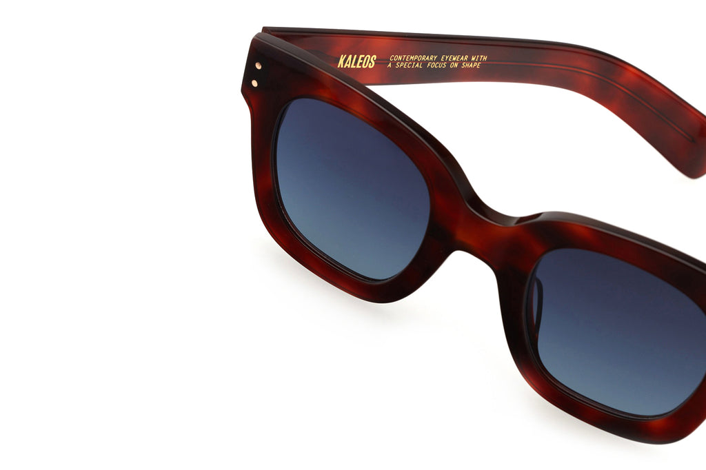 Kaleos Eyehunters - Chambers Sunglasses Monochrome Red Tortoise