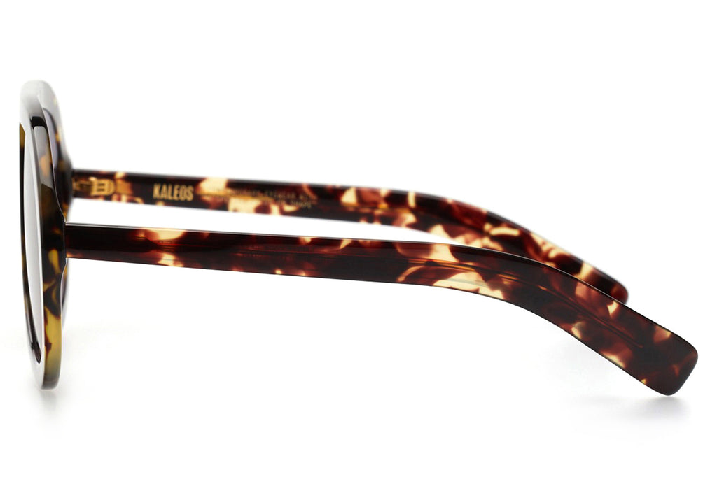 Kaleos Eyehunters - Salander Sunglasses Brown Tortoise