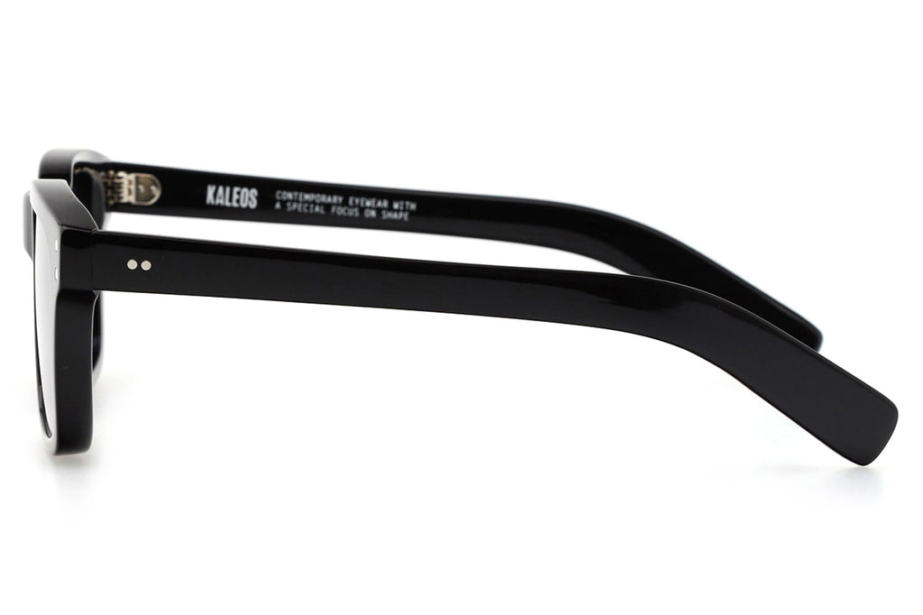 Kaleos Eyehunters - Evans Sunglasses Black