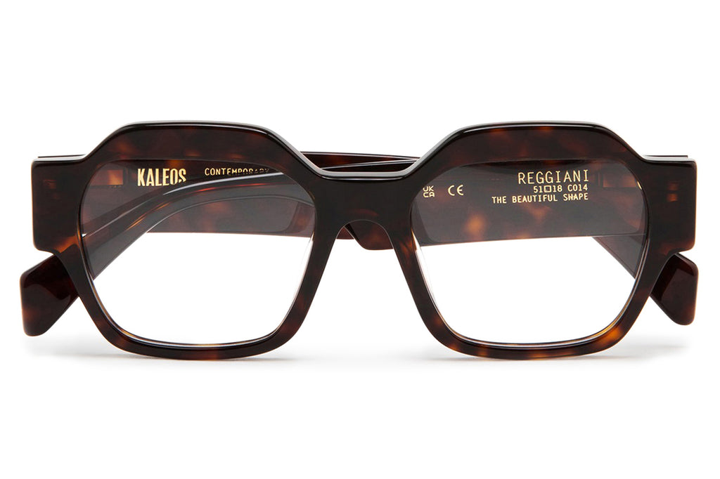 Kaleos Eyehunters - Reggiani Eyeglasses Dark Brown Tortoise