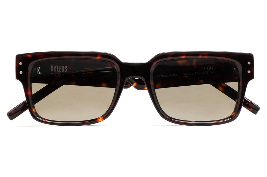 Kaleos Eyehunters - Pohl Sunglasses Dark Brown Tortoise