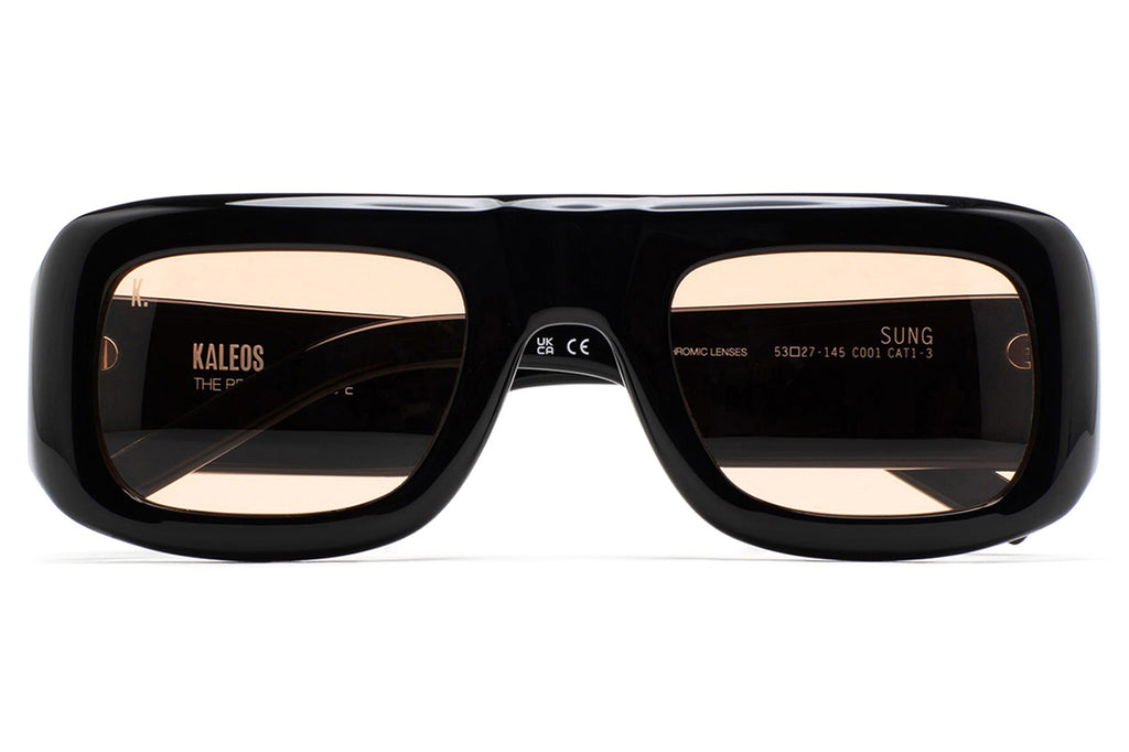 Kaleos Eyehunters - Sung Sunglasses Black with Brown Photochromic Lenses