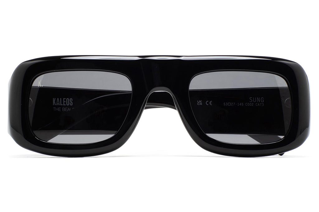 Kaleos Eyehunters - Sung Sunglasses Black with Gray Photochromic Lenses