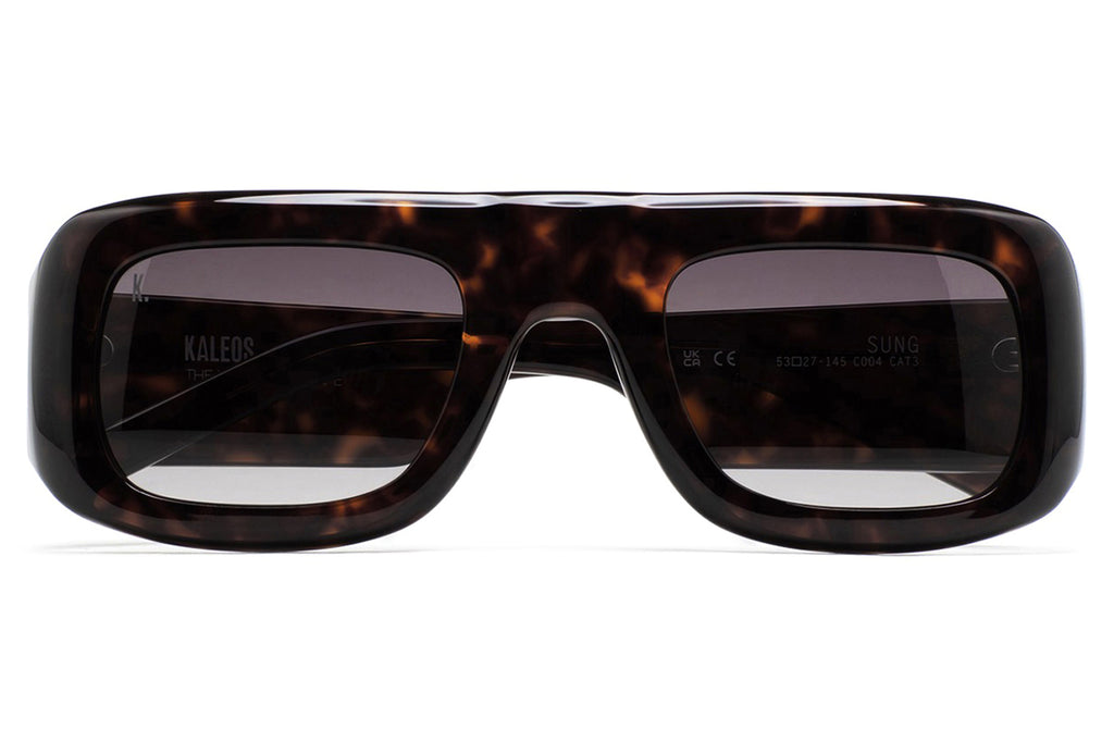 Kaleos Eyehunters - Sung Sunglasses Dark Brown Tortoise