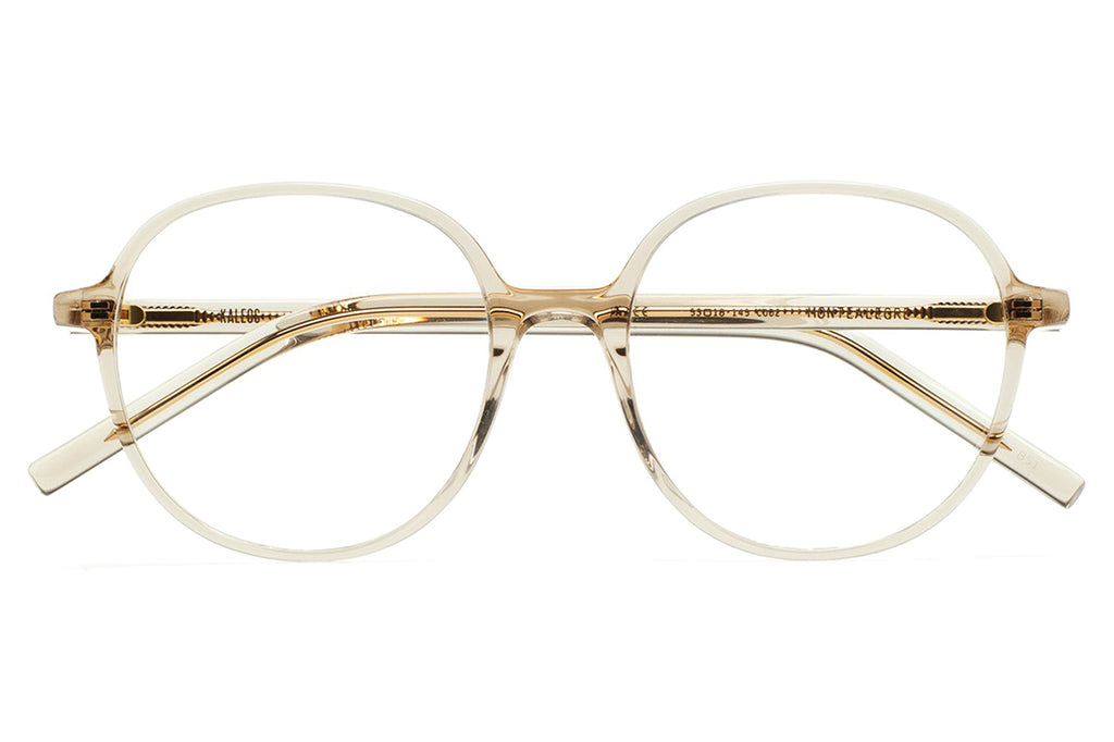 Kaleos Eyehunters - Montealegre Eyeglasses Transparent Light Gray