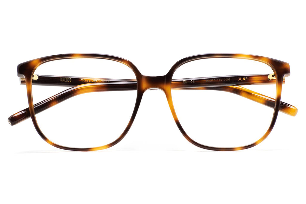 Kaleos Eyehunters - June Eyeglasses Brown Tortoise