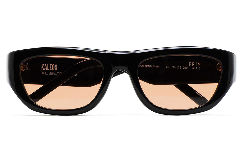 Kaleos Eyehunters - Prim Sunglasses Black with Brown Photochromic Lenses