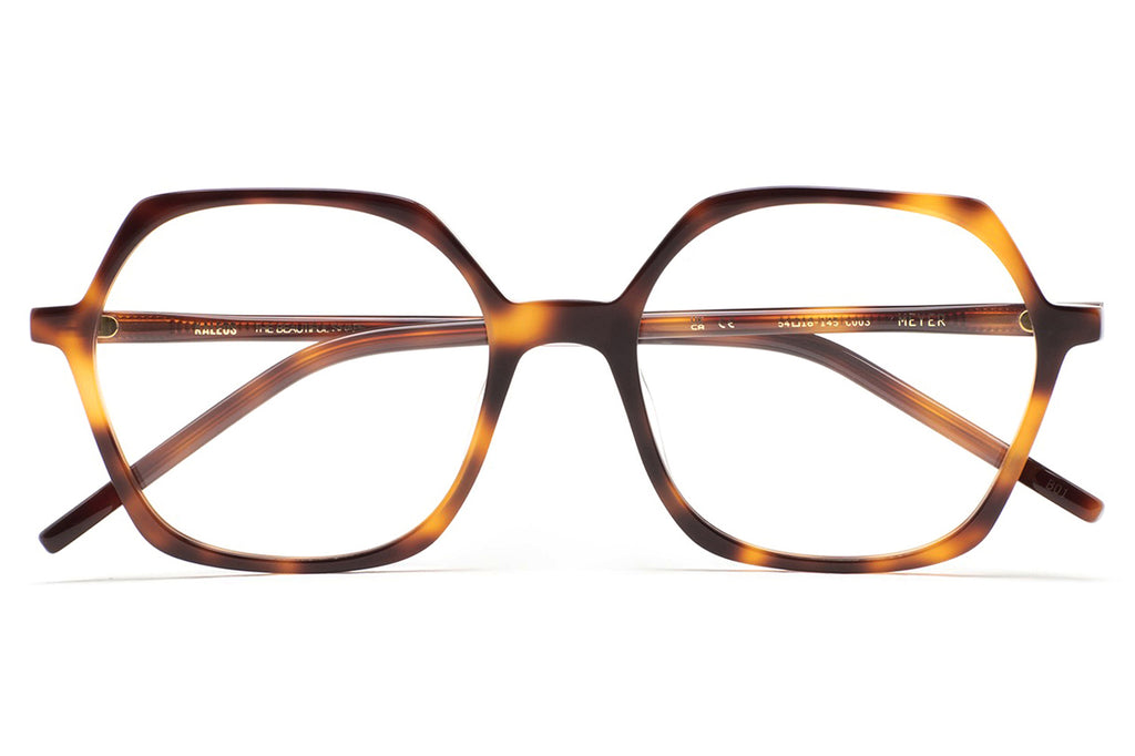 Kaleos Eyehunters - Meyer Eyeglasses Brown Havana