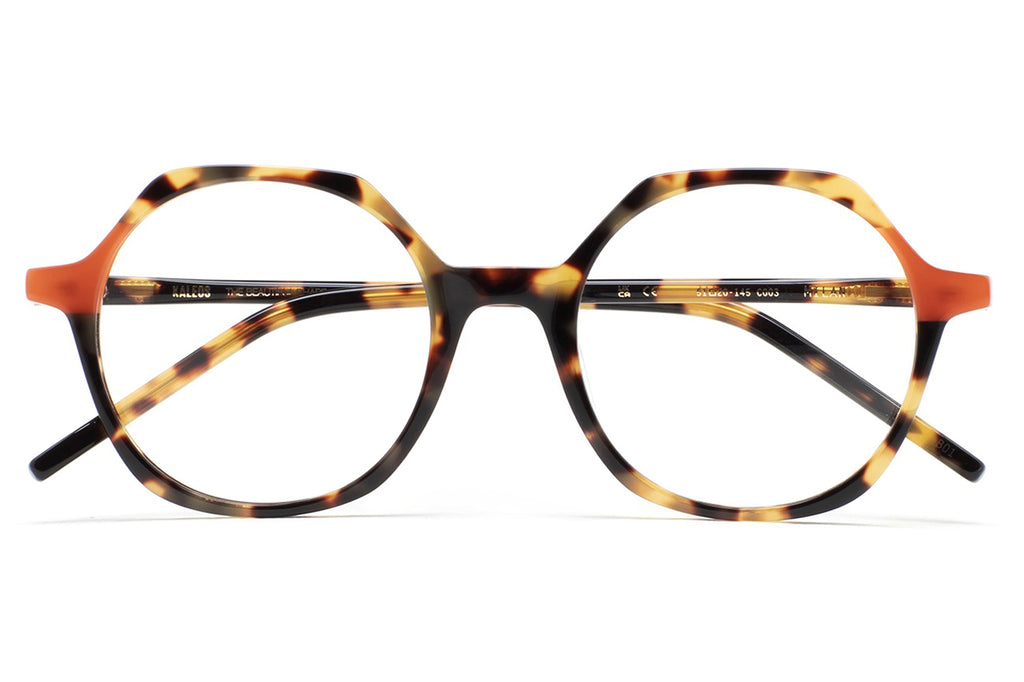 Kaleos Eyehunters - Milan Eyeglasses Brown Havana