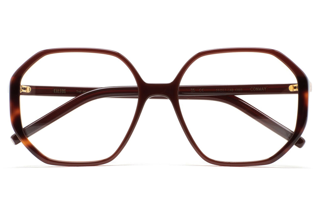 Kaleos Eyehunters - Conway Eyeglasses Translucent Brown/Brown Havana