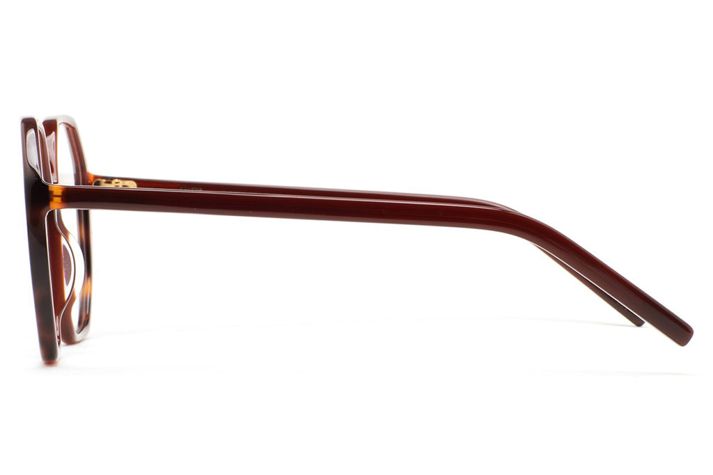 Kaleos Eyehunters - Conway Eyeglasses Translucent Brown/Brown Havana