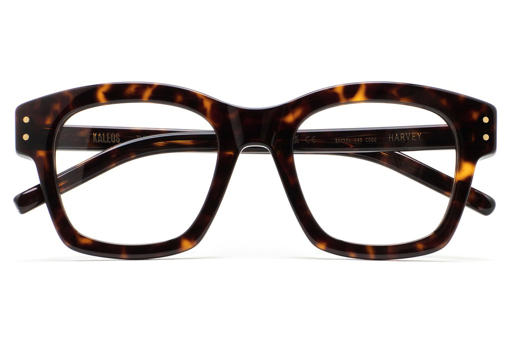 Kaleos Eyehunters - Harvey Eyeglasses Dark Brown Havana