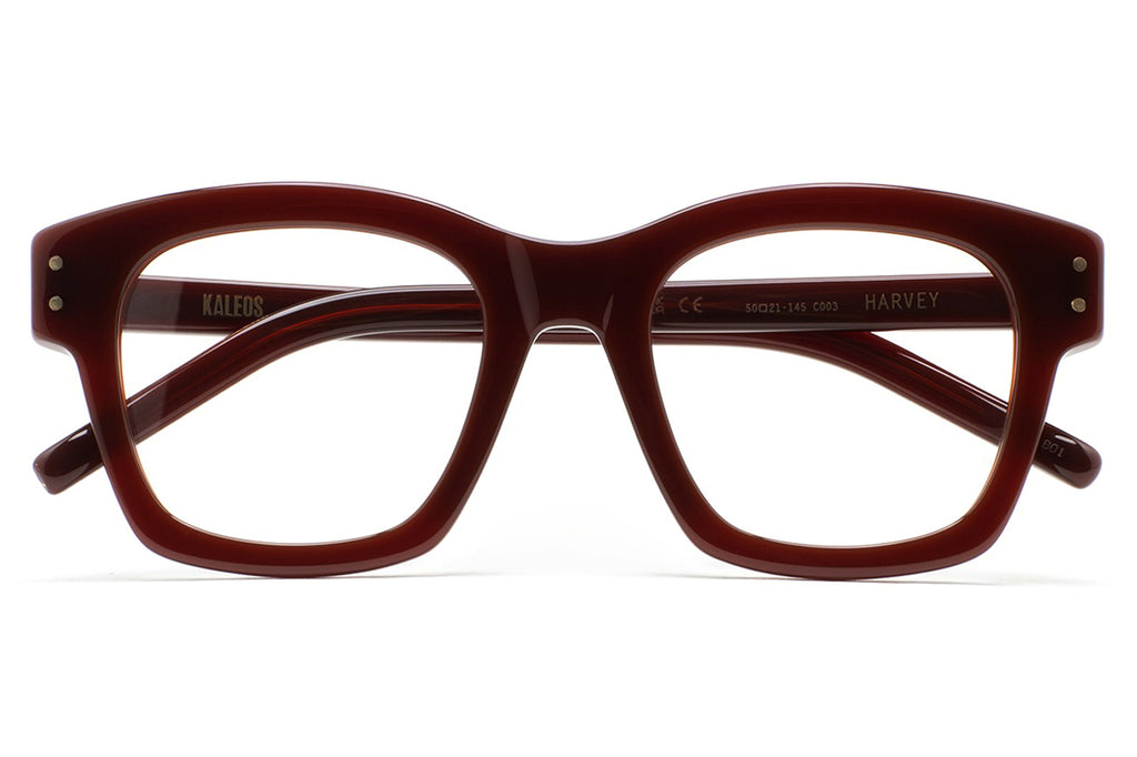 Kaleos Eyehunters - Harvey Eyeglasses Translucent Dark Brown