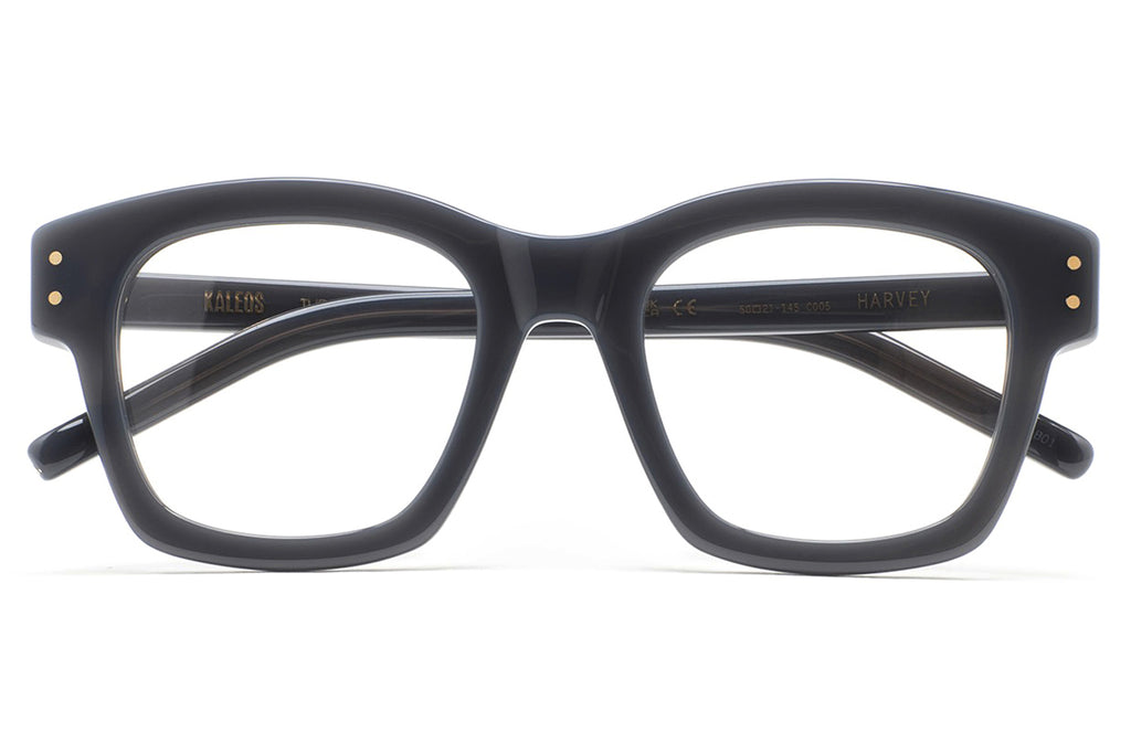 Kaleos Eyehunters - Harvey Eyeglasses Translucent Grey