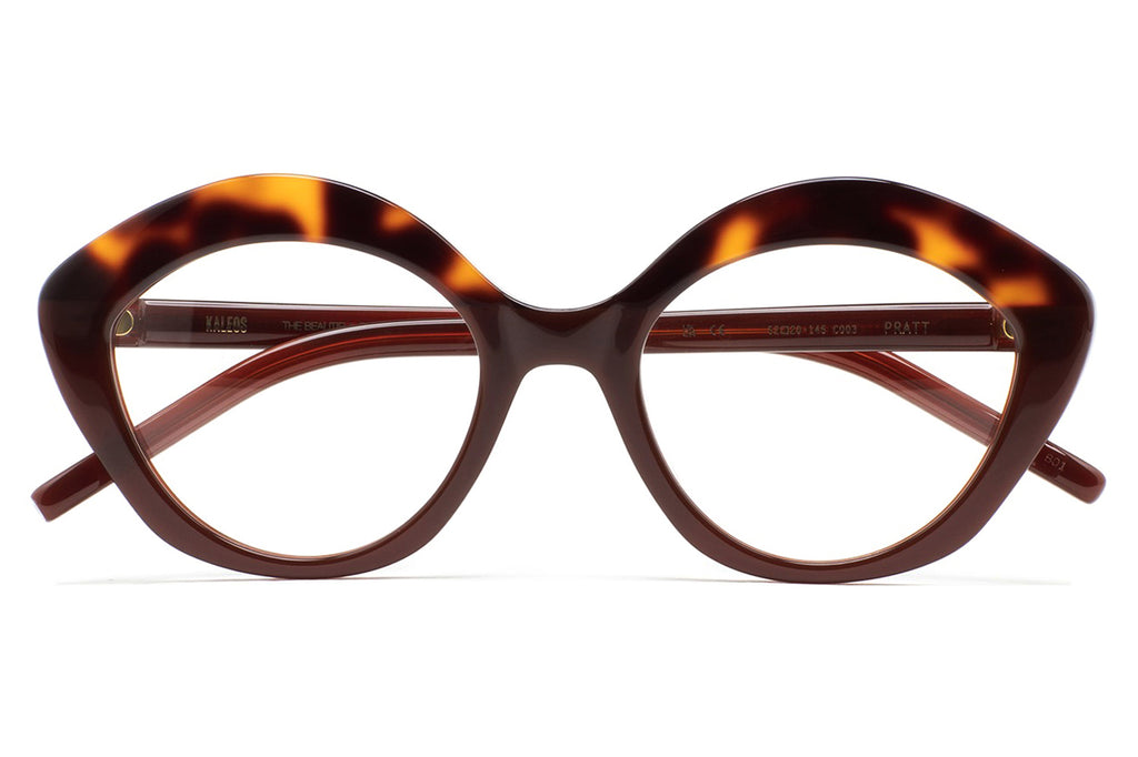 Kaleos Eyehunters - Pratt Eyeglasses Translucent Brown/Brown Havana