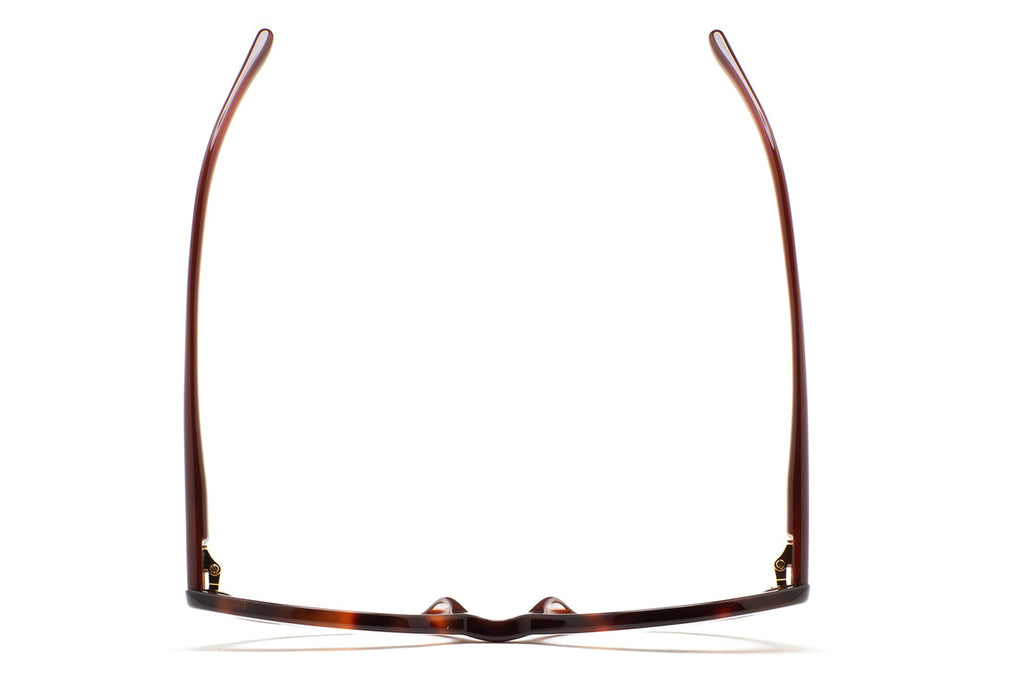 Kaleos Eyehunters - Pratt Eyeglasses Translucent Brown/Brown Havana