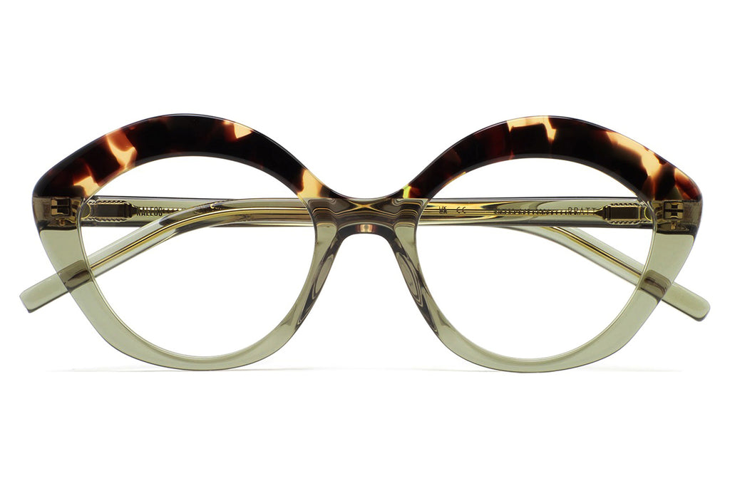 Kaleos Eyehunters - Pratt Eyeglasses Transparent Olive Green/Dark Brown Havana