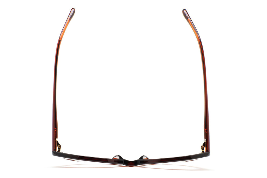 Kaleos Eyehunters - Pratt Eyeglasses Translucent Brown