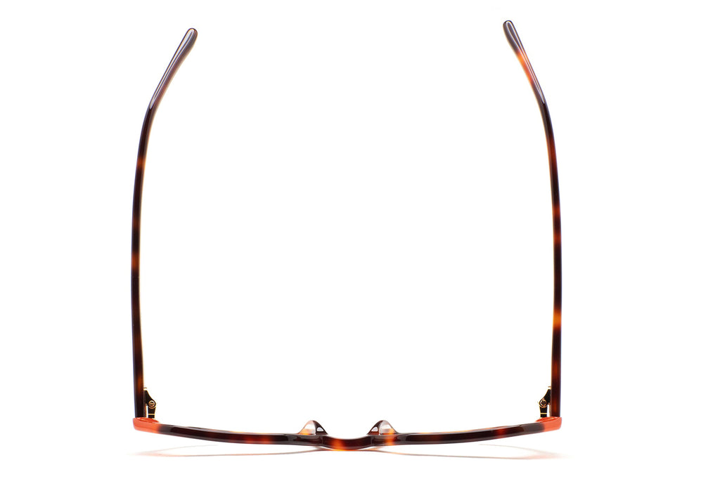 Kaleos Eyehunters - Gladstone Eyeglasses Brown Havana/Translucent Orange