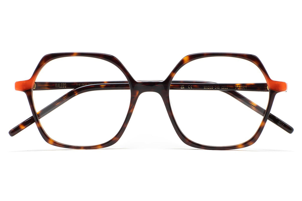 Kaleos Eyehunters - Perry Eyeglasses Dark Brown Havana/Translucent Orange