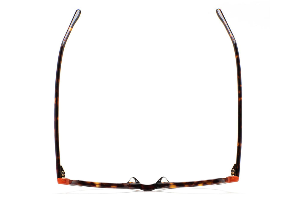 Kaleos Eyehunters - Perry Eyeglasses Dark Brown Havana/Translucent Orange