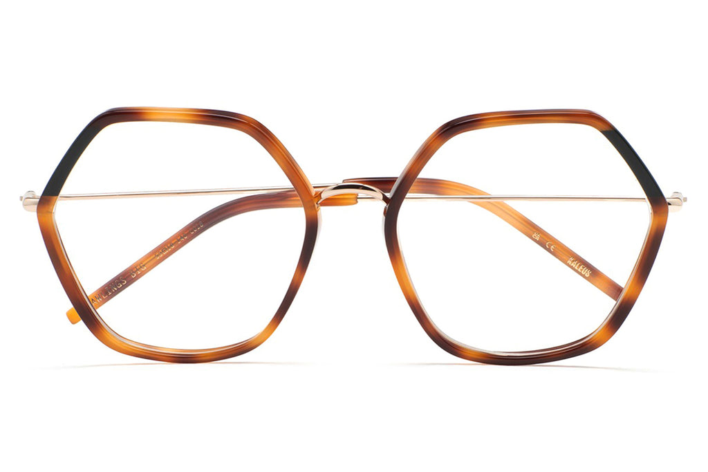 Kaleos Eyehunters - Rawlings Big Eyeglasses Brown Havana/Dark Green