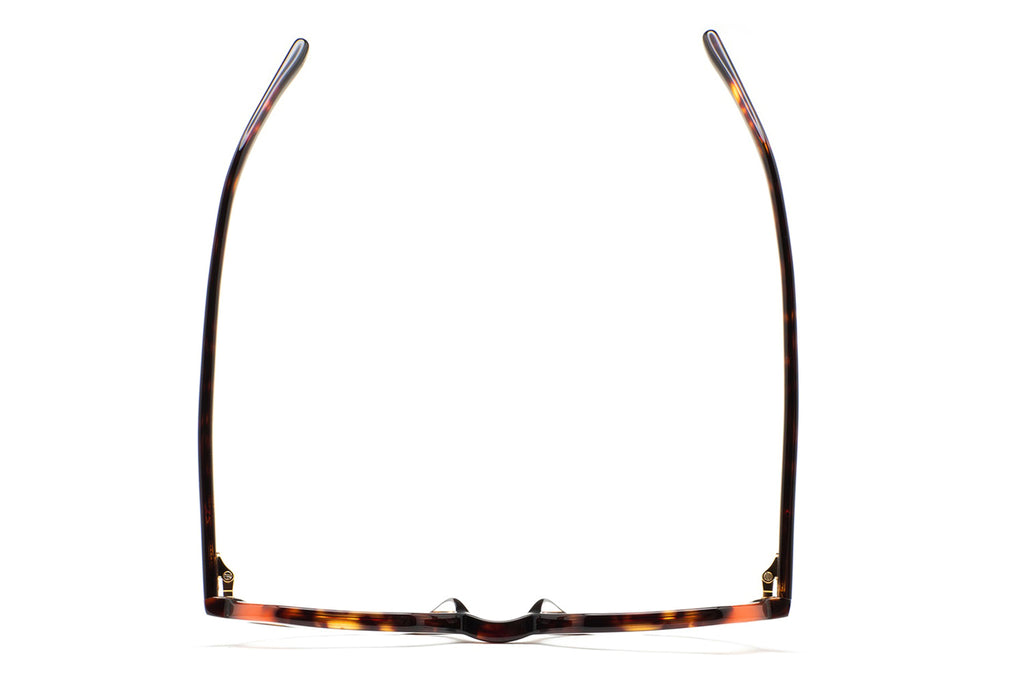 Kaleos Eyehunters - Hanson Eyeglasses Dark Brown Havana/Translucent Orange