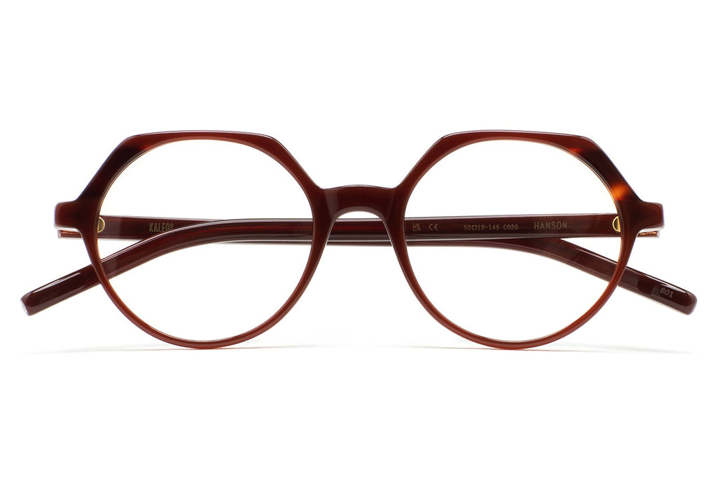 Kaleos Eyehunters - Hanson Eyeglasses Transparent Brown/Brown Havana