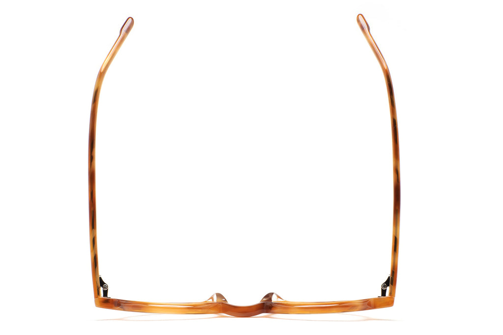 Kaleos Eyehunters - Seavers Eyeglasses Honey Havana