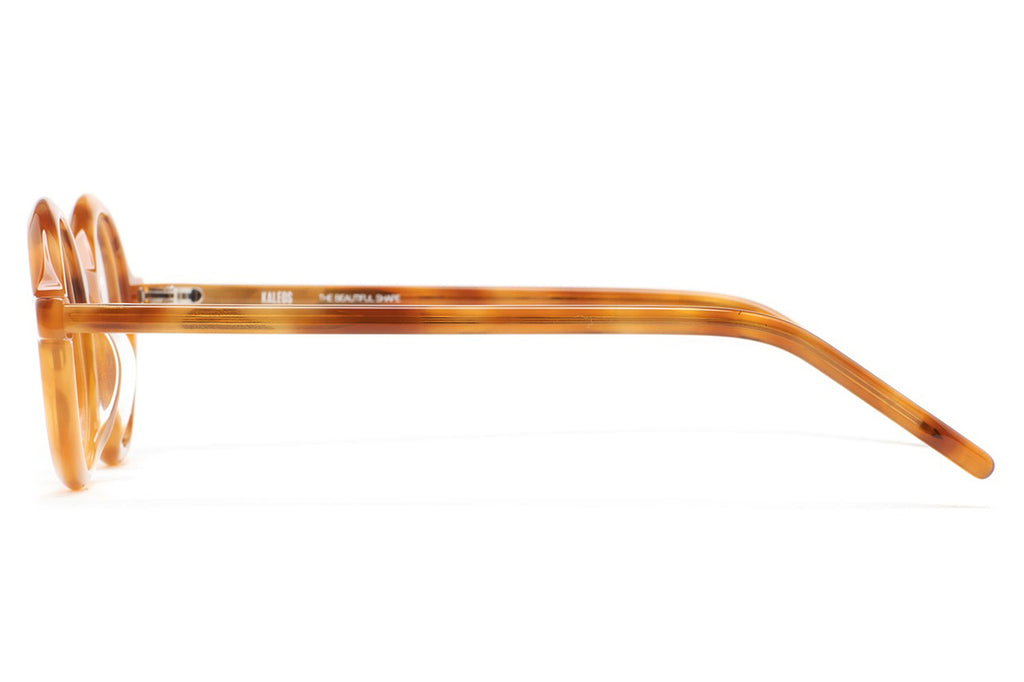 Kaleos Eyehunters - Seavers Eyeglasses Honey Havana