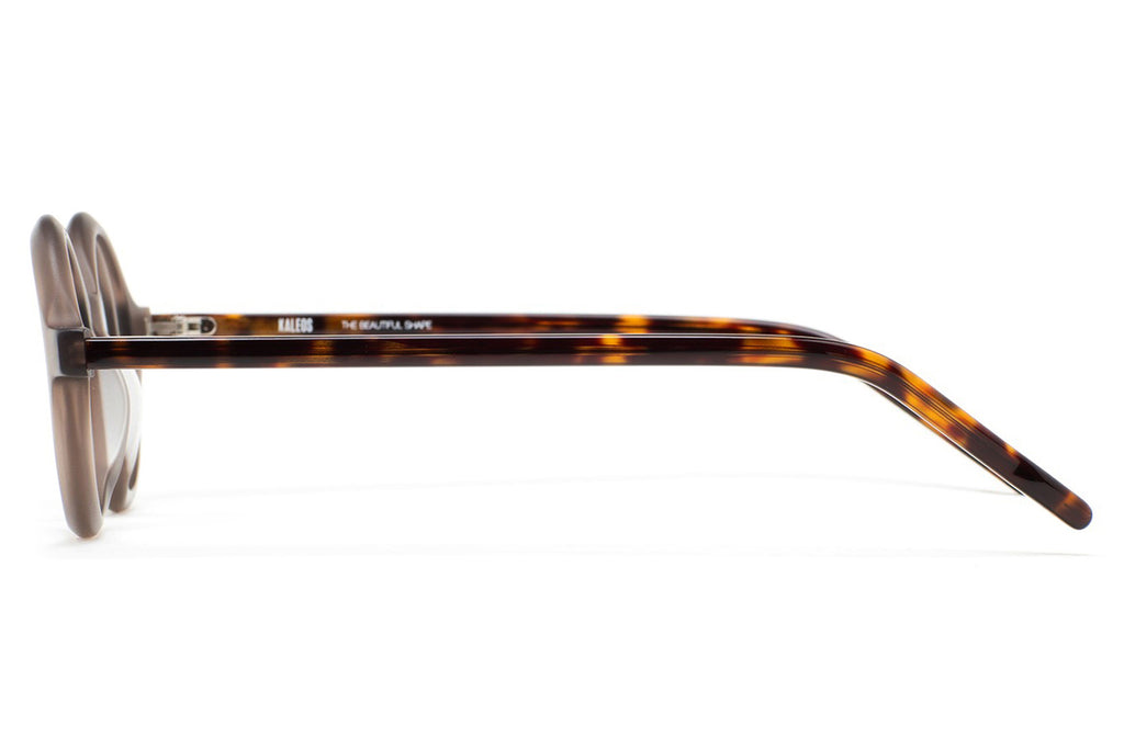 Kaleos Eyehunters - Seavers Eyeglasses Transparent Brown