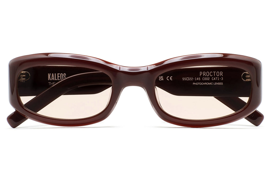 Kaleos Eyehunters - Proctor Sunglasses Translucent Dark Brown