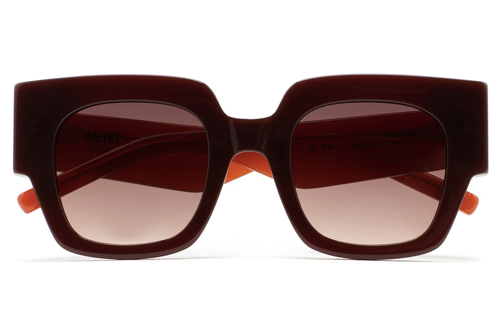 Kaleos Eyehunters - Novak Sunglasses Translucent Dark Brown