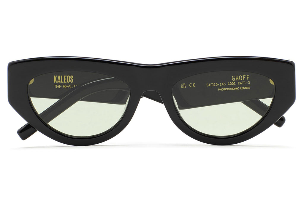 Kaleos Eyehunters - Groff Sunglasses Black