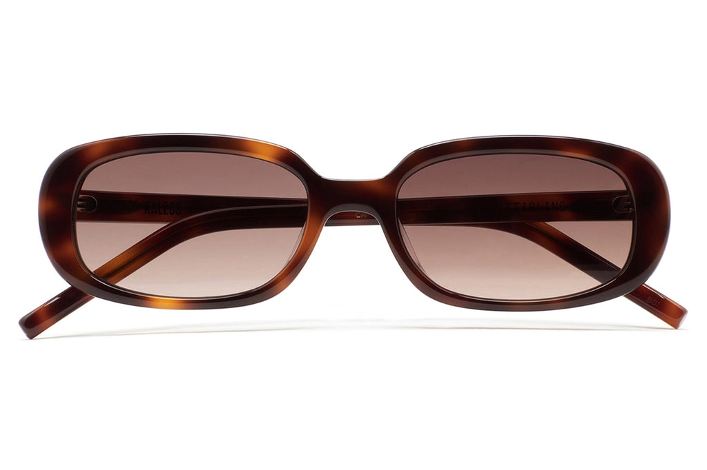 Kaleos Eyehunters - Stirling Sunglasses Brown Havana