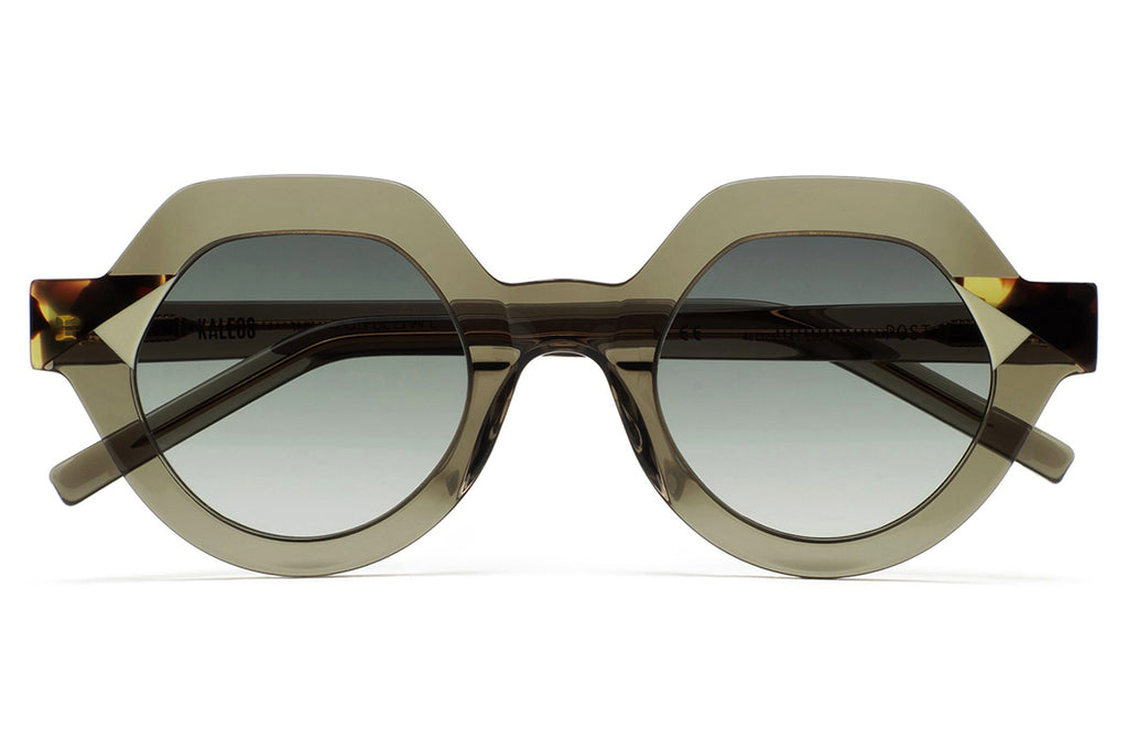 Kaleos Eyehunters - Post Sunglasses Transparent Olive Green/Brown Havana