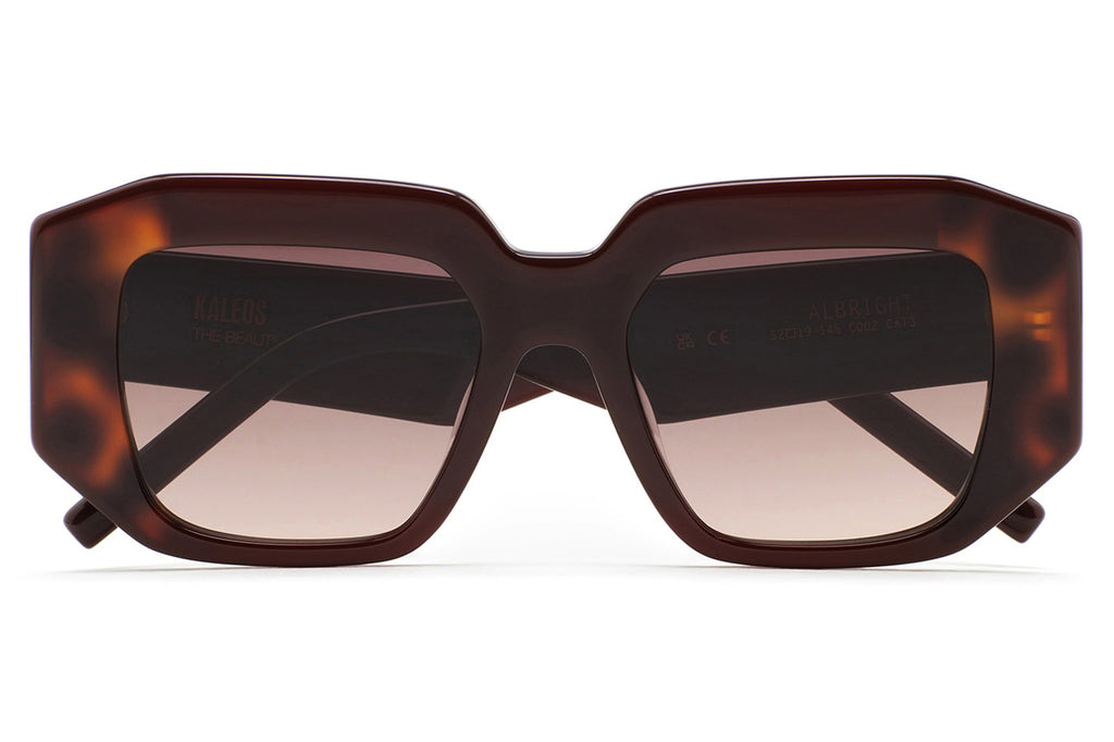 Kaleos Eyehunters - Albright Sunglasses Translucent Brown/Brown Havana