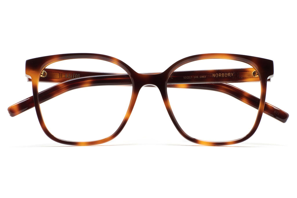 Kaleos Eyehunters - Norbury Eyeglasses Brown Havana