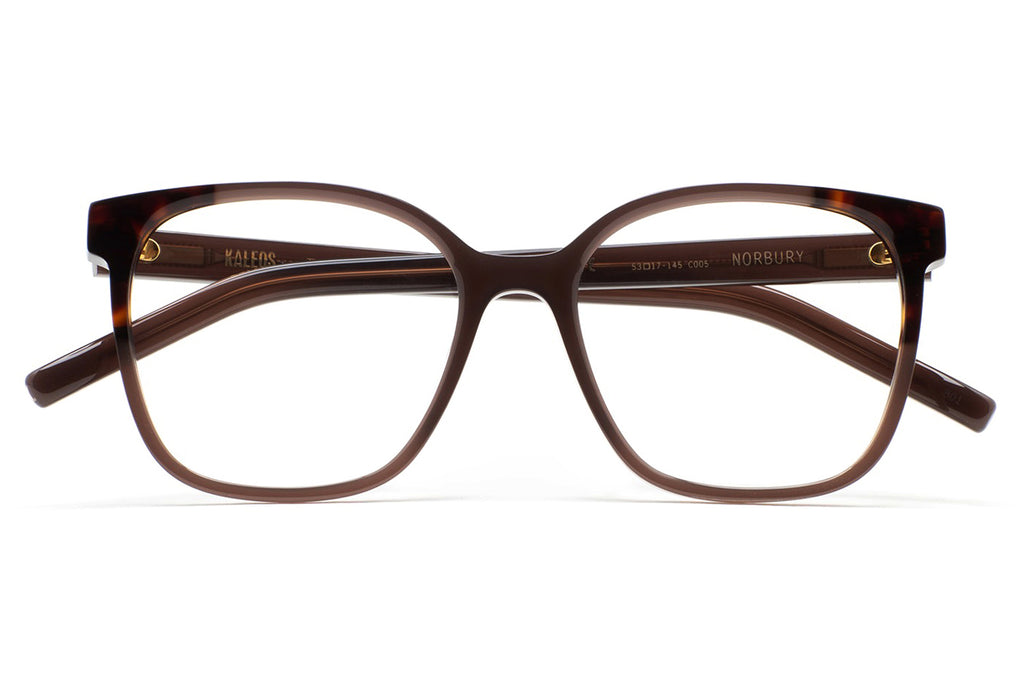 Kaleos Eyehunters - Norbury Eyeglasses Translucent Brown/Brown Havana