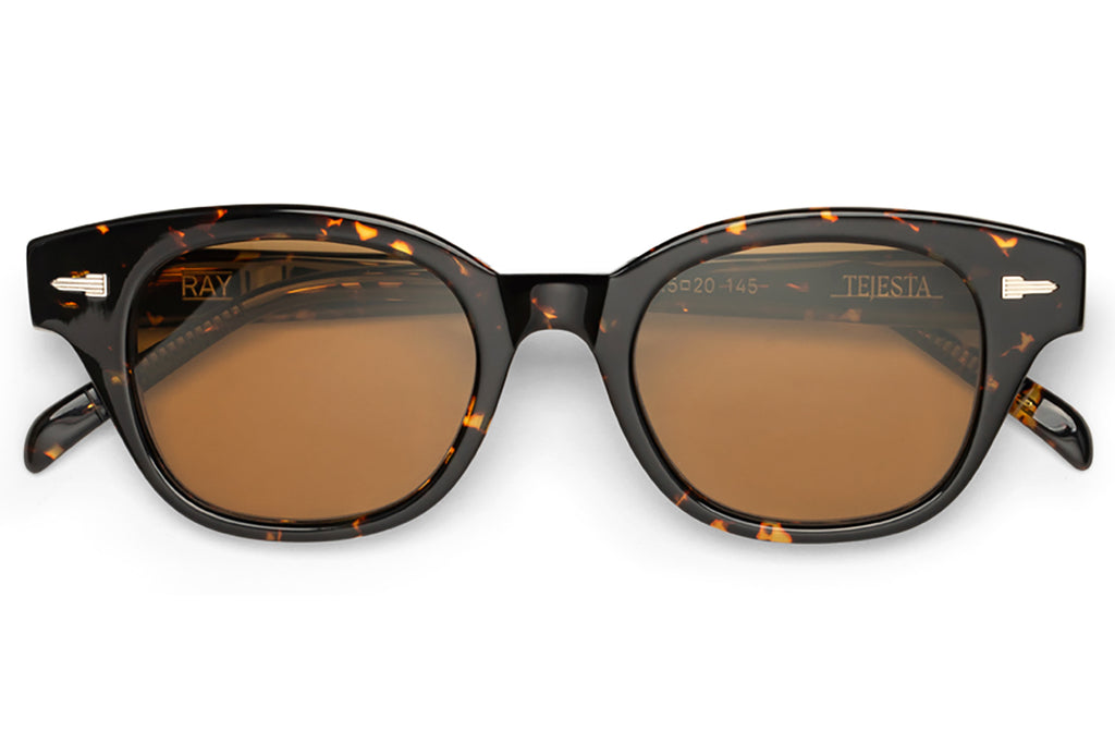 Tejesta® Eyewear - Ray Sunglasses Chelonian