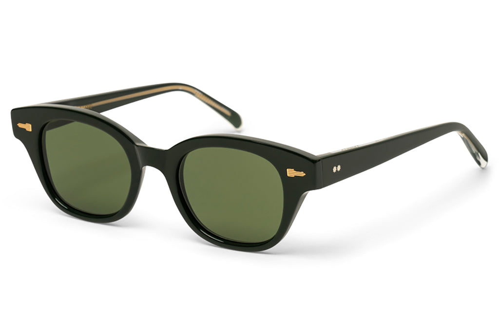 Tejesta® Eyewear - Ray Sunglasses BRG