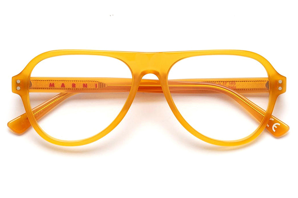 Marni® - Blue Ridge Mountains Eyeglasses Miele