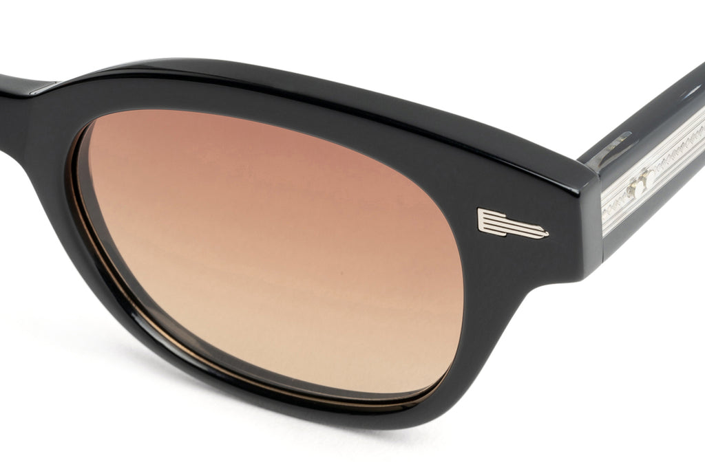 Tejesta® Eyewear - Ray Sunglasses Onyx