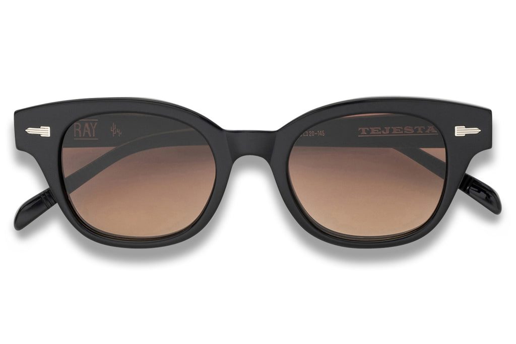 Tejesta® Eyewear - Ray Sunglasses Onyx