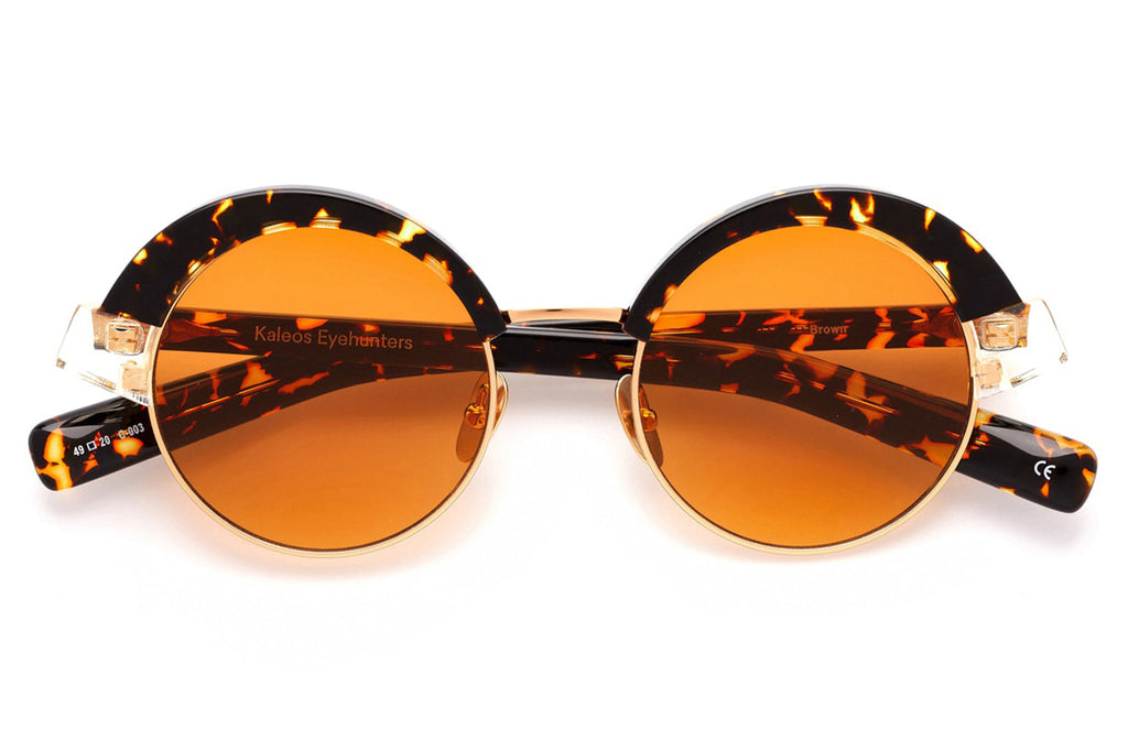 Kaleos Eyehunters - Brown Sunglasses Tokyo Tortoise