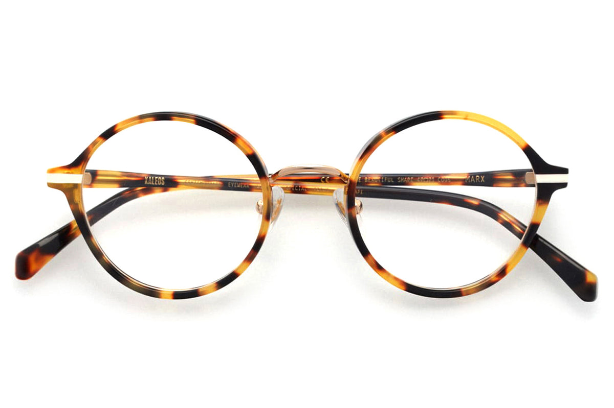 Kaleos Eyehunters - Marx Eyeglasses | Specs Collective